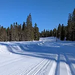Hotel Arctic Nest Forest