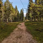 Arctic Nest Forest Kotila