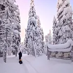Hotel Arctic Nest Forest *