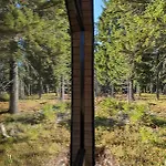 Arctic Nest Forest * Kotila