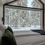 Hotel Arctic Nest Forest Kotila