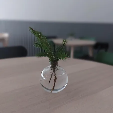 Arctic Nest Отель