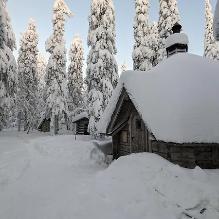 Hotel Arctic Nest Forest