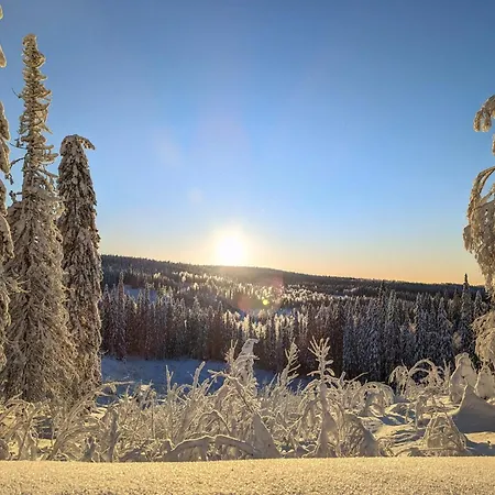 فندق Arctic Nest *