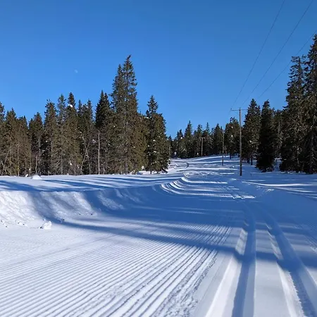 Отель Arctic Nest