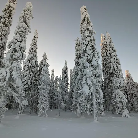 Arctic Nest Forest Hotel Kotila