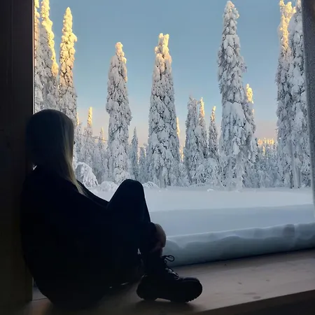 Arctic Nest Forest * Kotila
