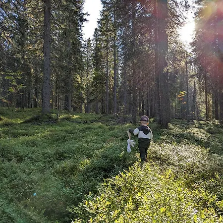 Arctic Nest Forest