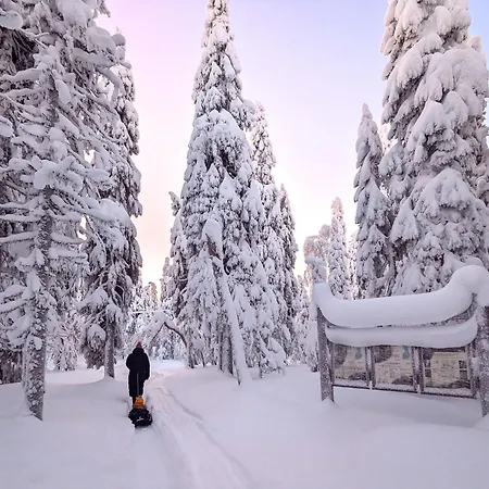 فندق Arctic Nest *