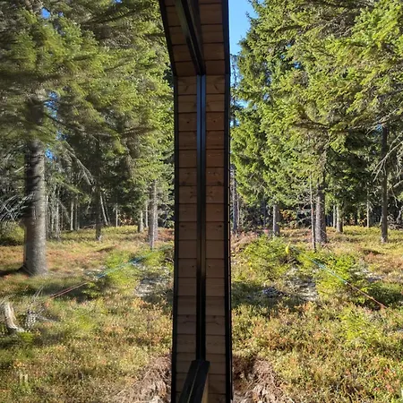 Arctic Nest Forest * Kotila