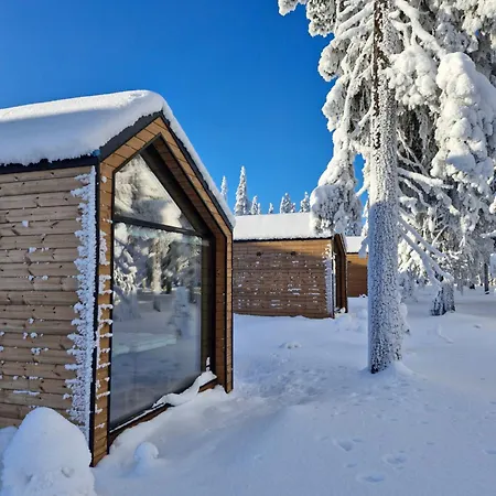 Arctic Nest Forest