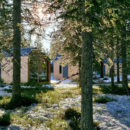 Hotel Arctic Nest Forest