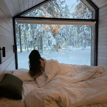 Hotel Arctic Nest Forest