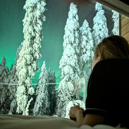Arctic Nest Forest