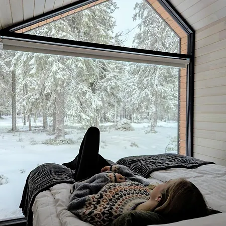 Arctic Nest Forest Hotel *