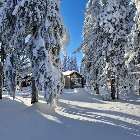 Hotel Arctic Nest Forest *